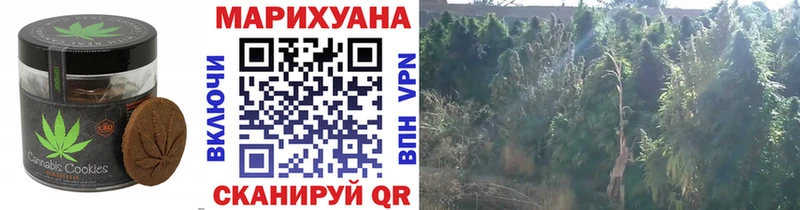 Еда ТГК марихуана  Красный Холм 